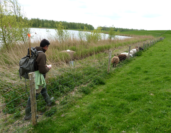 Waterschapsberoepen muskusrattenvanger