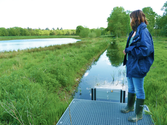 HeleenWesterhof_hydroloog_Dommel2_klein