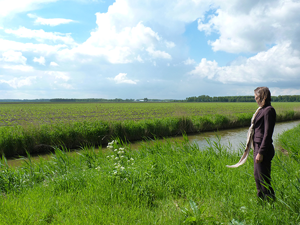 Waterschapsberoepen dijkgraaf