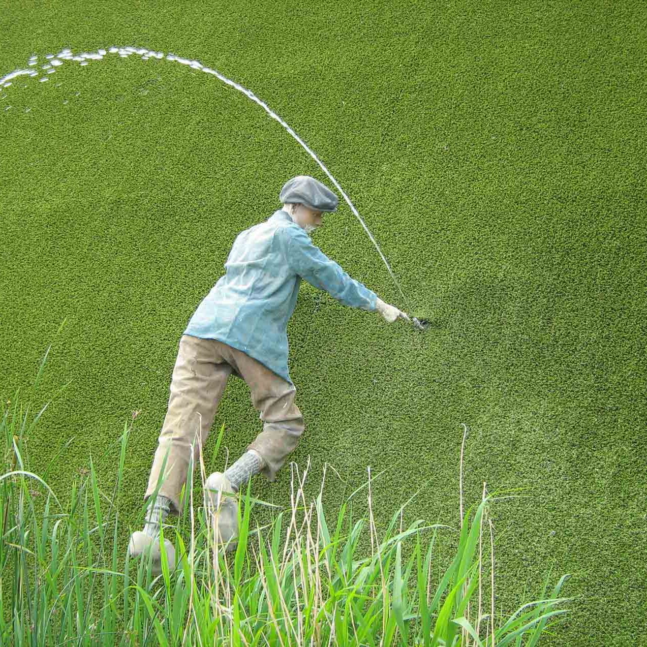 Vinger in de dijk