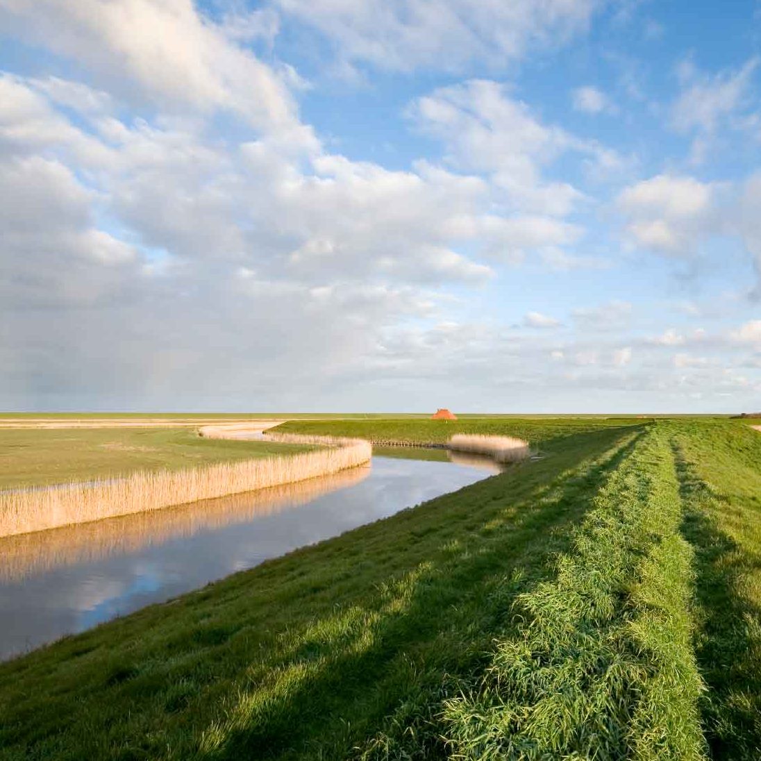 Project IJkdijk, de dijk van de toekomst