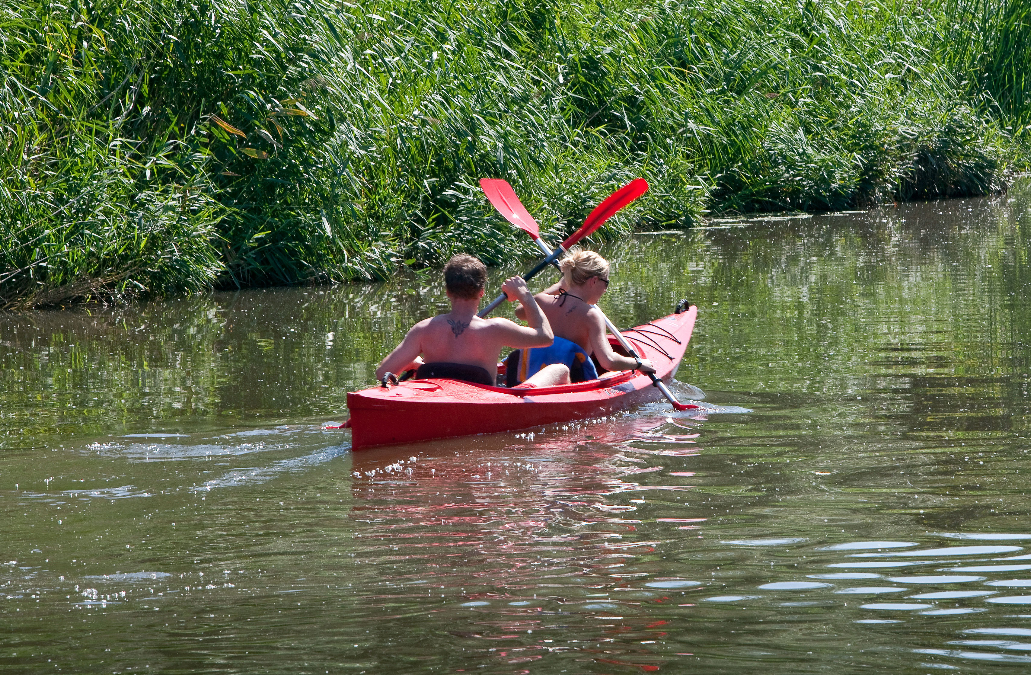 Kajakkers in het water