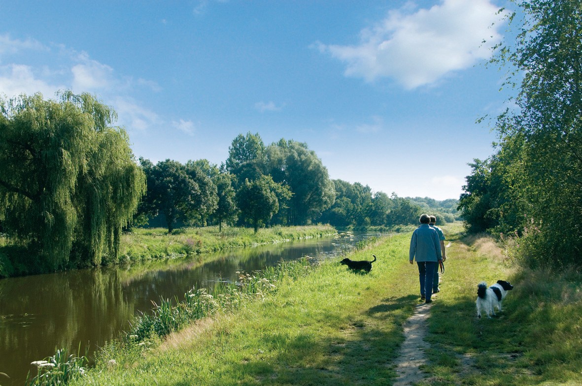 Wandelen langs het water met de hond