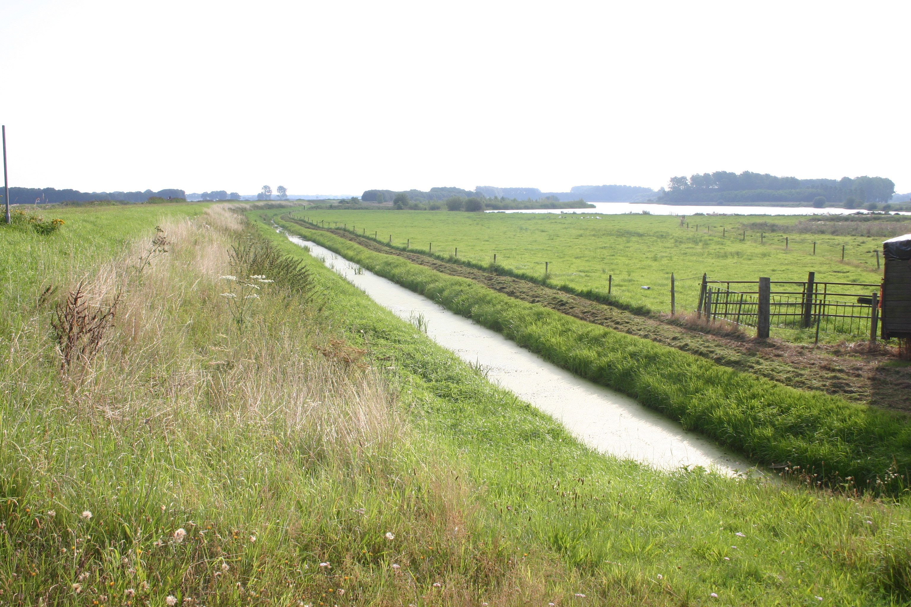 Waterberging Panjerd-Veeningen in waterschap Drents Overijsselse Delta