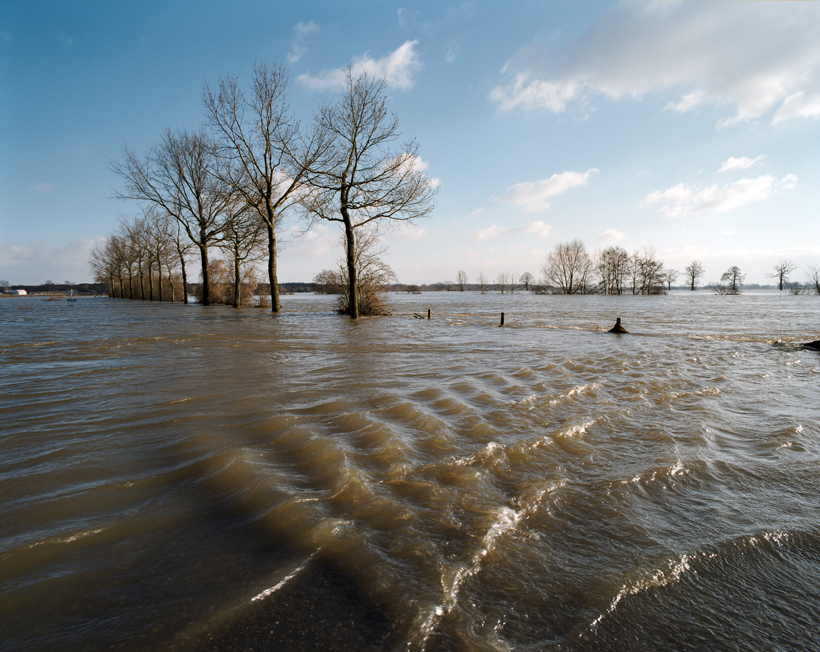 Hoogwater in de Maas bij de Weideweg naast de Koninginnebrug bij Well.