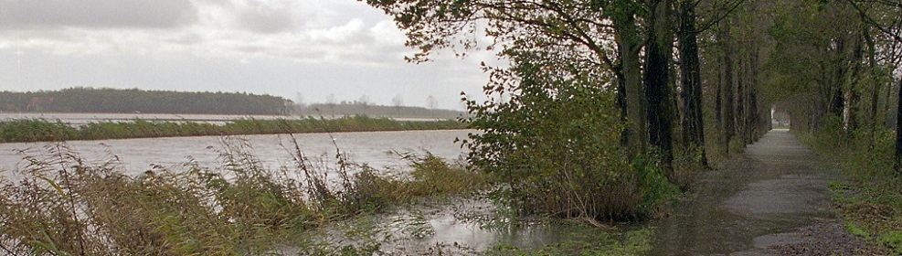 Regen op landweg